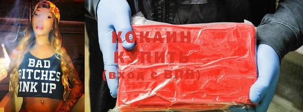 индика Алексин