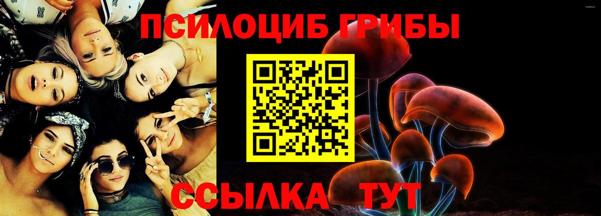Тюмень  дарнет шоп  Вход с VPN  Псилоцибиновые грибы GOLDEN TEACHER 